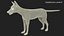 Vulpes Vulpes Basic Pose