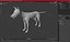 Vulpes Vulpes Basic Pose