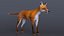 Vulpes Vulpes Basic Pose