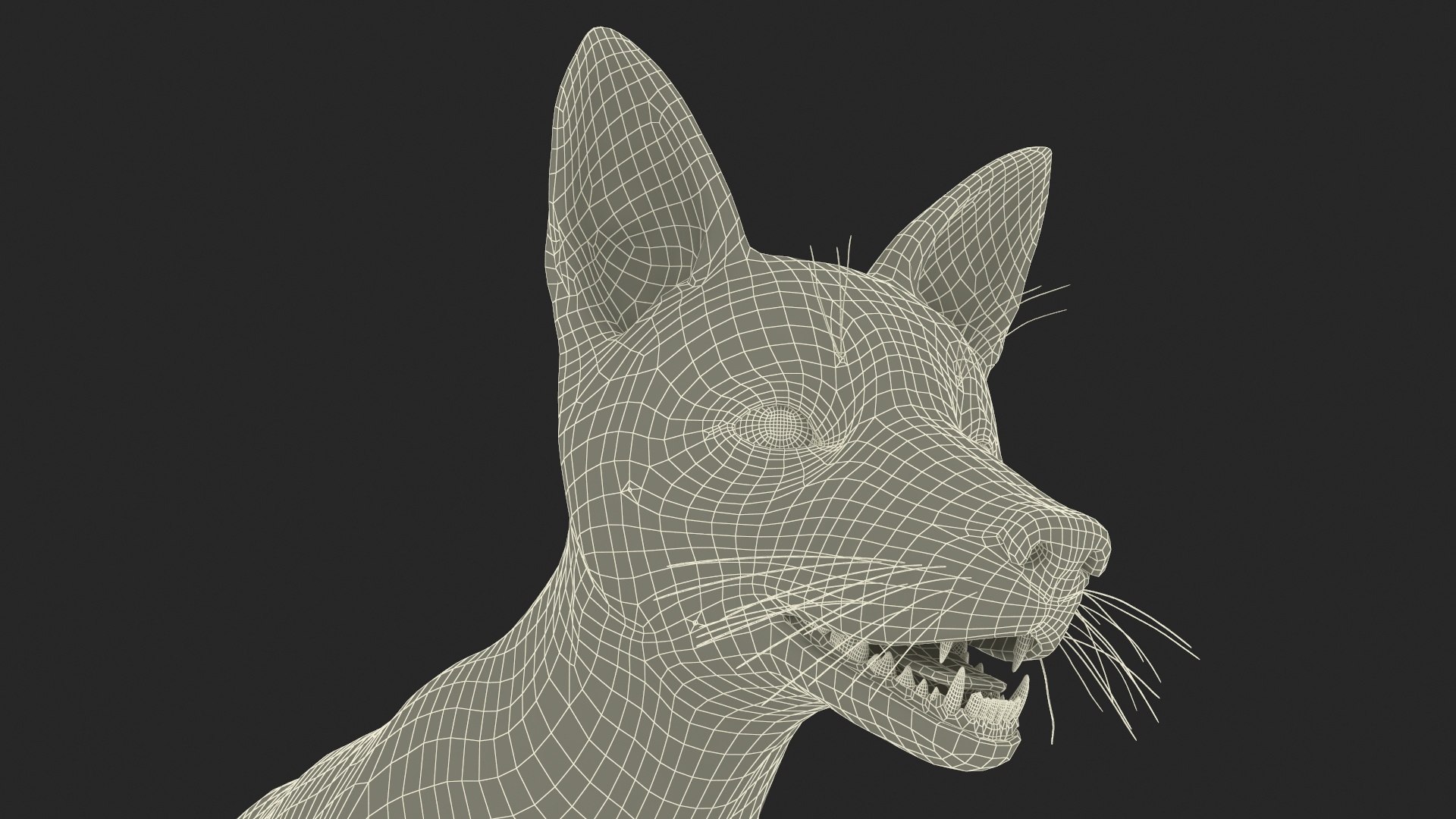 Vulpes Vulpes Basic Pose 3D https://p.turbosquid.com/ts-thumb/dJ/n0FPAT/d9/vulpesvulpesbasicposec4dmodel030/jpg/1706312514/1920x1080/fit_q87/3da58fc445205231f408bc362bedcc4d2ae363d5/vulpesvulpesbasicposec4dmodel030.jpg