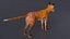 Vulpes Vulpes Basic Pose