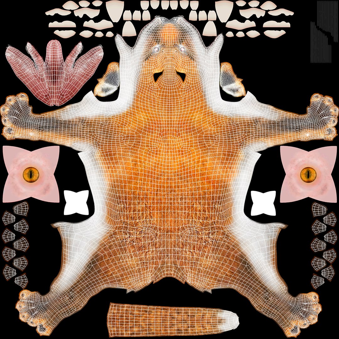 Vulpes Vulpes Basic Pose 3D https://p.turbosquid.com/ts-thumb/dJ/n0FPAT/fg/vulpesvulpesbasicposec4dmodel019/jpg/1706312466/1920x1080/fit_q87/d068ea8869cf3dd1e6ffcc4bba8efa589d4061bc/vulpesvulpesbasicposec4dmodel019.jpg