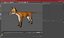 Vulpes Vulpes Basic Pose