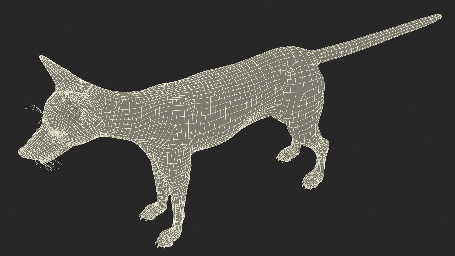 Vulpes Vulpes Basic Pose 3D https://p.turbosquid.com/ts-thumb/dJ/n0FPAT/sL/vulpesvulpesbasicposec4dmodel028/jpg/1706312506/1920x1080/fit_q87/02ba60c87269288decbfee1f2e6b79e39801a6dc/vulpesvulpesbasicposec4dmodel028.jpg