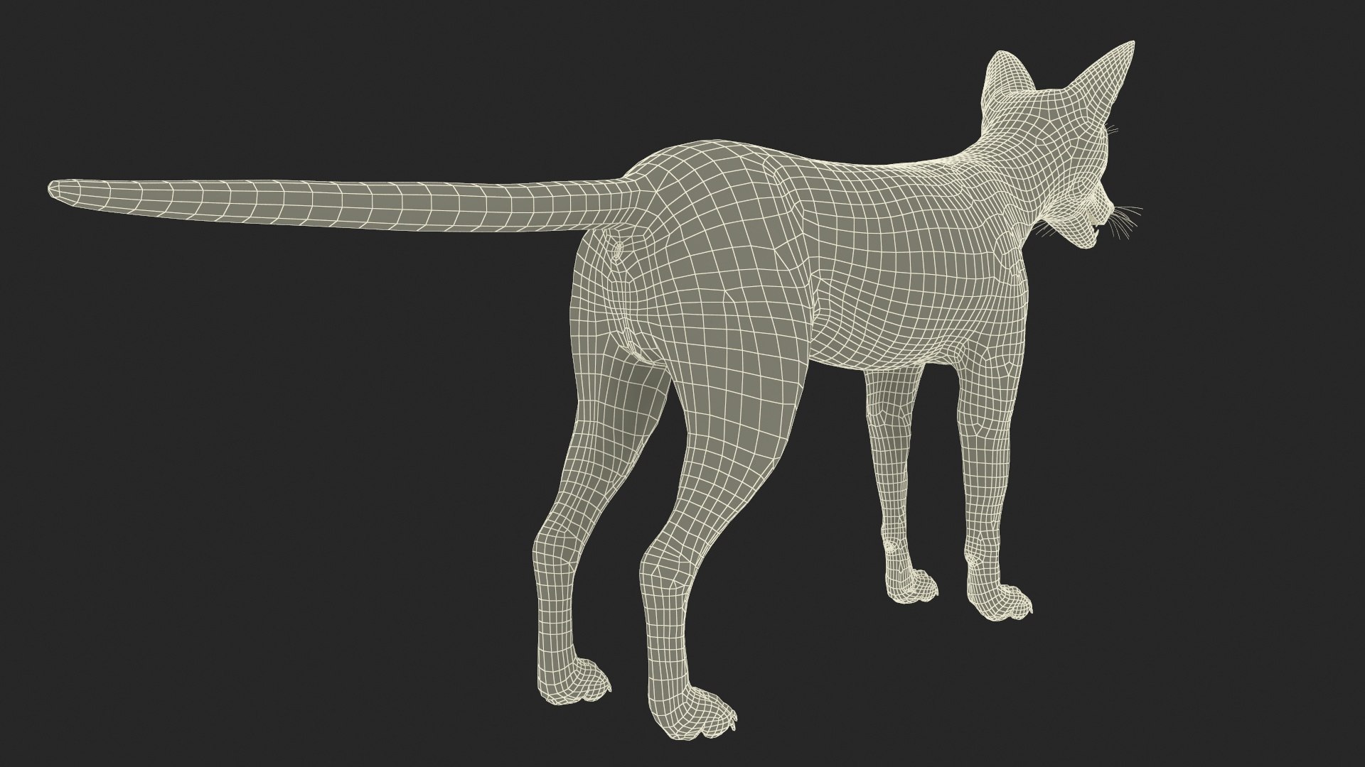 Vulpes Vulpes Basic Pose 3D https://p.turbosquid.com/ts-thumb/dJ/n0FPAT/z5/vulpesvulpesbasicposec4dmodel027/jpg/1706312502/1920x1080/fit_q87/c30f188e543d21a9abde1eb315ab08f0c8f874ab/vulpesvulpesbasicposec4dmodel027.jpg