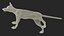 Vulpes Vulpes Basic Pose