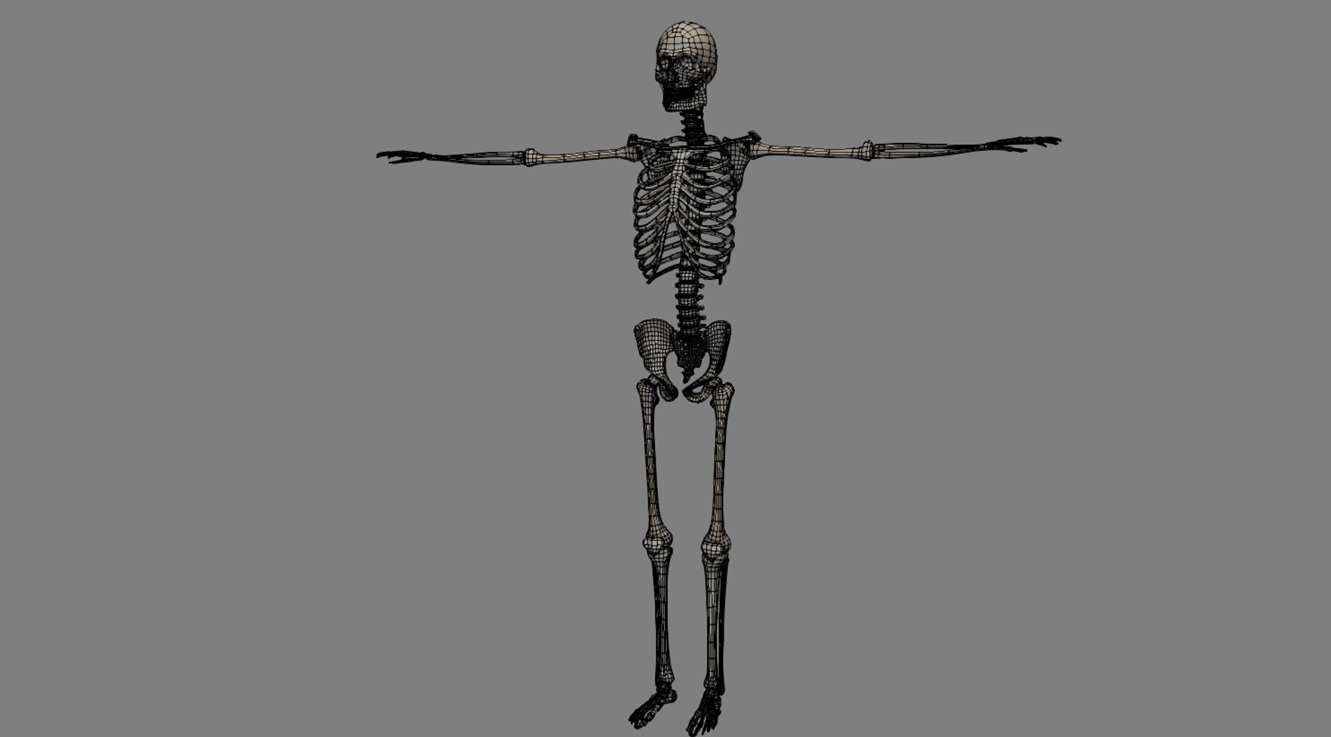 Obj Human Skeleton