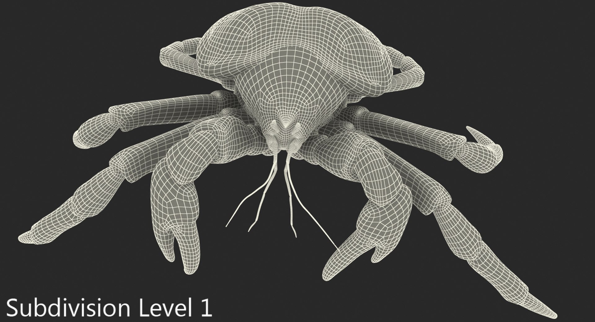 robber crab walking pose 3D https://p.turbosquid.com/ts-thumb/dK/1e2glj/GX9pS22L/robbercrabwalkingpose3dmodel012/jpg/1494583518/1920x1080/fit_q87/000cea02775dba5e2055eb334085b878ba3525d1/robbercrabwalkingpose3dmodel012.jpg