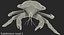 Robber Crab Walking Pose 3D Model