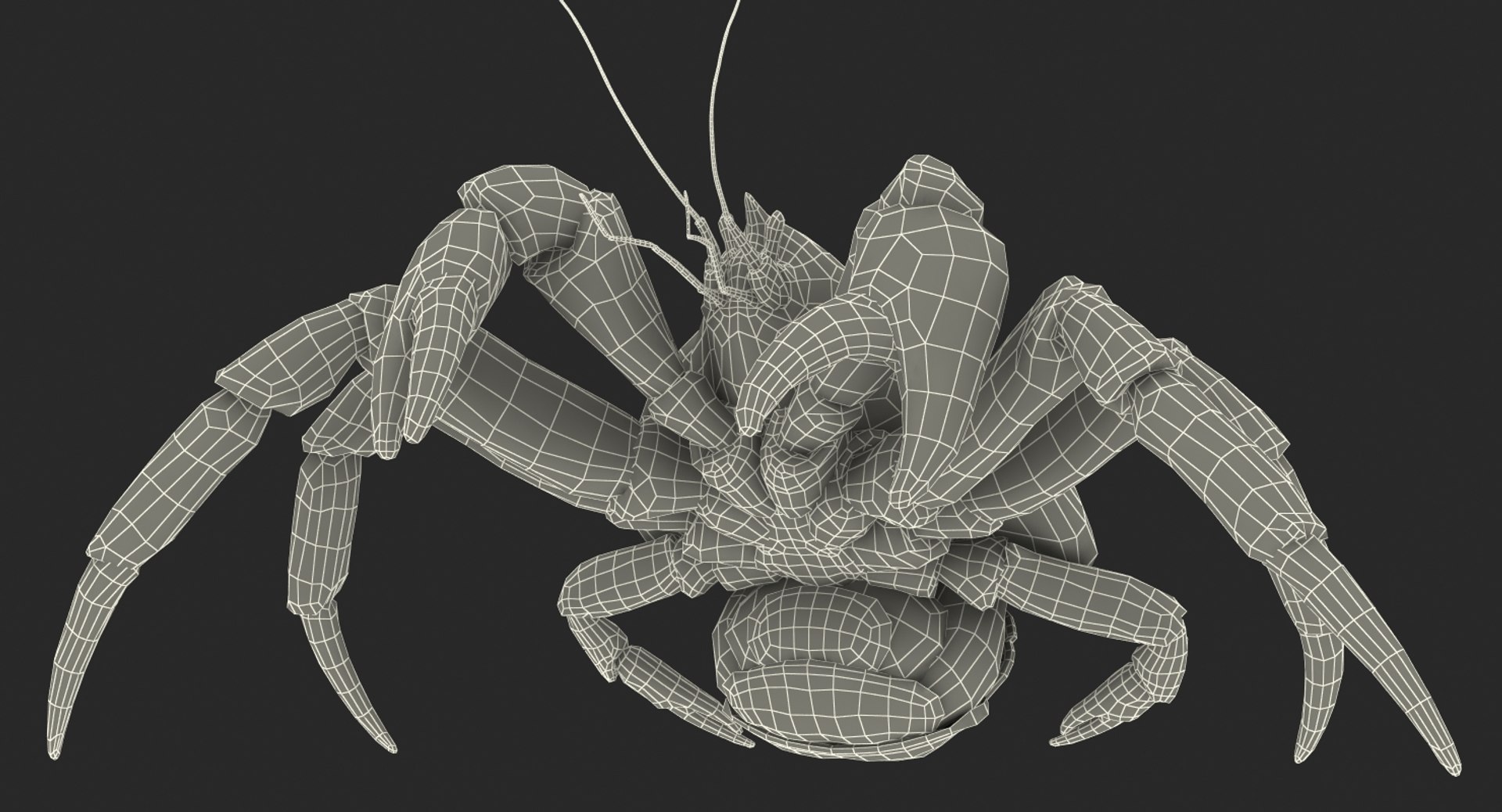 robber crab walking pose 3D https://p.turbosquid.com/ts-thumb/dK/1e2glj/PPjfWSEb/robbercrabwalkingpose3dmodel022/jpg/1494583519/1920x1080/fit_q87/5e6e83c60cbf1b752ccf20ba39fbe5f9322a7a67/robbercrabwalkingpose3dmodel022.jpg