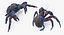 Robber Crab Walking Pose 3D Model