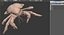 Robber Crab Walking Pose 3D Model
