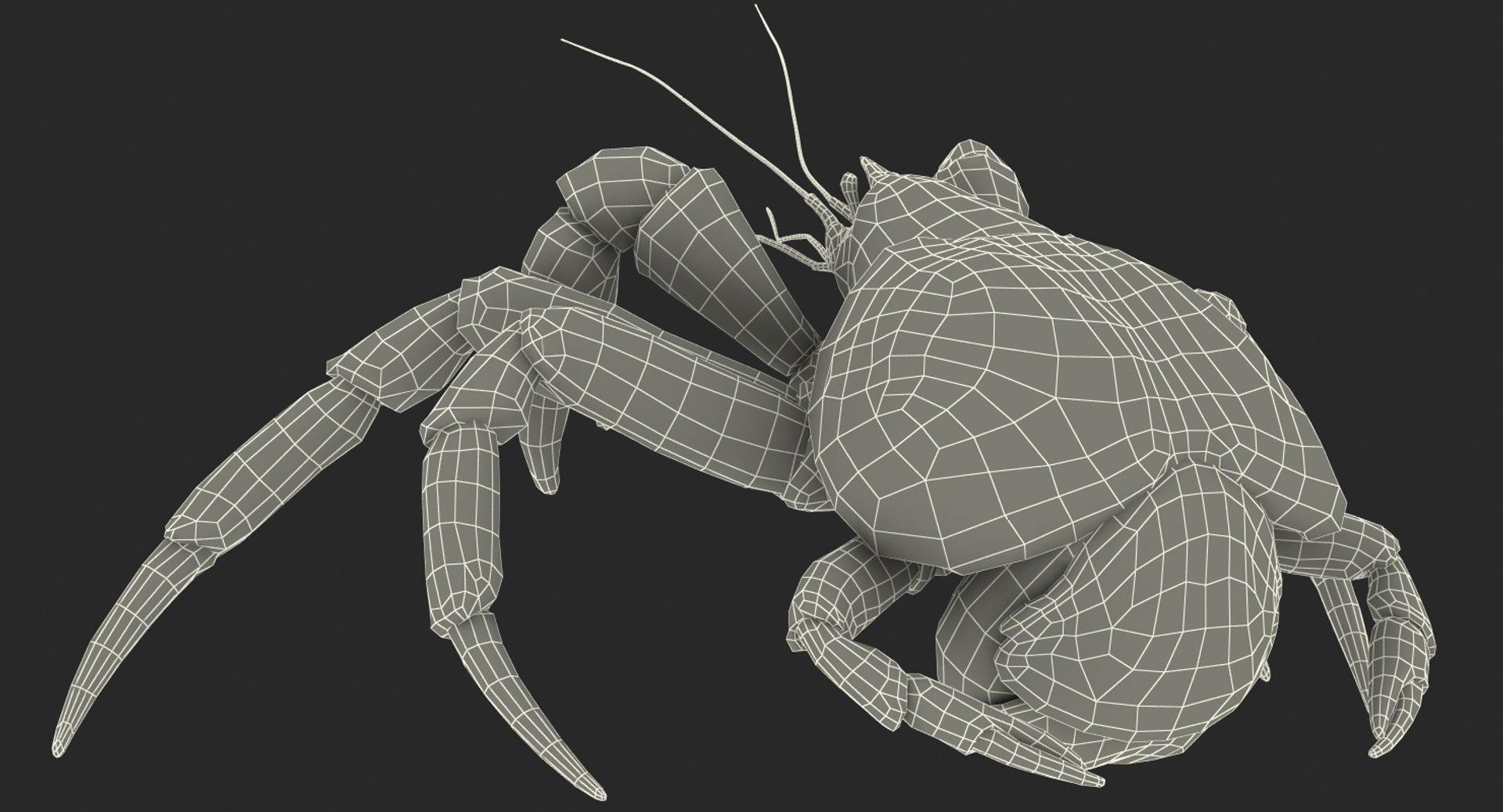 robber crab walking pose 3D https://p.turbosquid.com/ts-thumb/dK/1e2glj/iWCihtQF/robbercrabwalkingpose3dmodel019/jpg/1494583519/1920x1080/fit_q87/4b0fd913095b4b898a0bca666150bb9a0871cff1/robbercrabwalkingpose3dmodel019.jpg