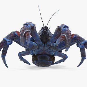 robber crab walking pose 3D