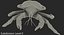 Robber Crab Walking Pose 3D Model