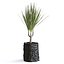 Usine de Dracena
