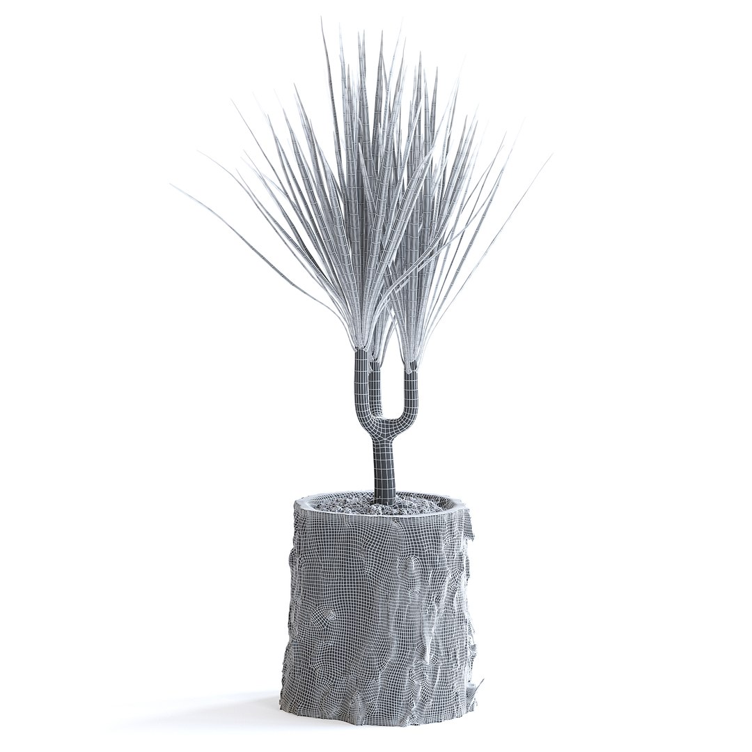 Dracena Plant 3D model https://p.turbosquid.com/ts-thumb/dK/4iUqL2/Wy/147bgridcopy/jpg/1644953173/1920x1080/fit_q87/1f4d8241d9edc9fe56f1511fa6904ee786f73eb4/147bgridcopy.jpg