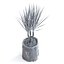Usine de Dracena