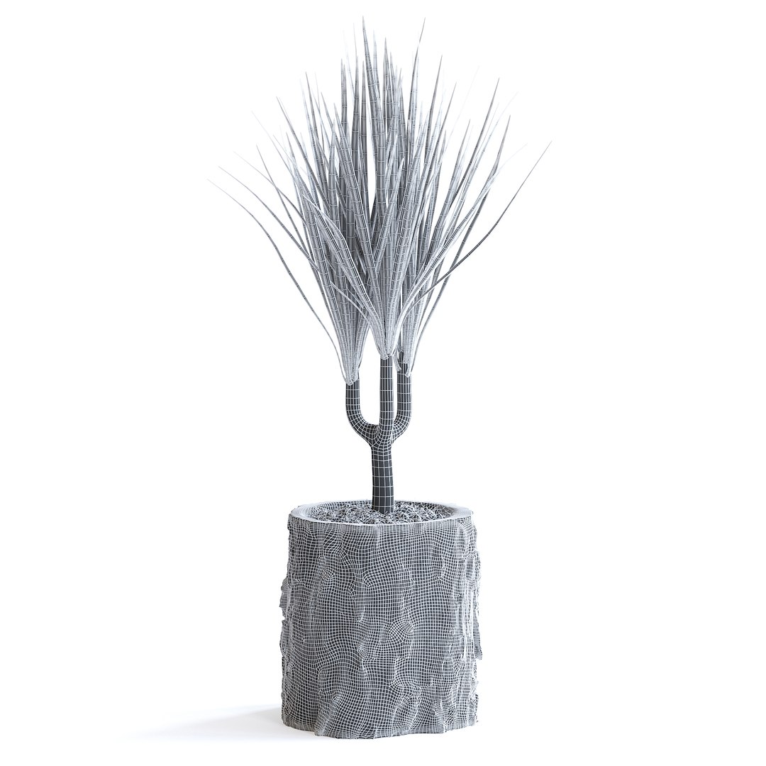 Dracena Plant 3D model https://p.turbosquid.com/ts-thumb/dK/4iUqL2/kR/147agridcopy/jpg/1644953173/1920x1080/fit_q87/415ad10760751232d2ca47fecad4b62bb94a9cce/147agridcopy.jpg