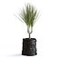 Usine de Dracena