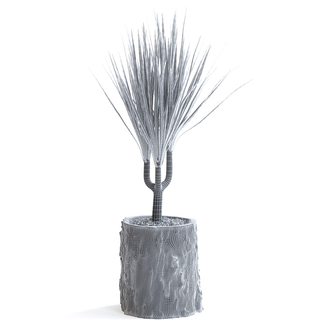 Dracena Plant 3D model https://p.turbosquid.com/ts-thumb/dK/4iUqL2/pi/147cgridcopy/jpg/1644953174/1920x1080/fit_q87/1eaa4c4489e7b3a89ec2a6fe2845aa278d93662f/147cgridcopy.jpg
