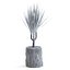 Usine de Dracena
