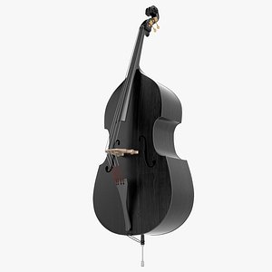 Double Bass Black 02