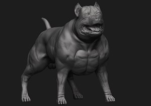 3D American Bully bust 3D print model