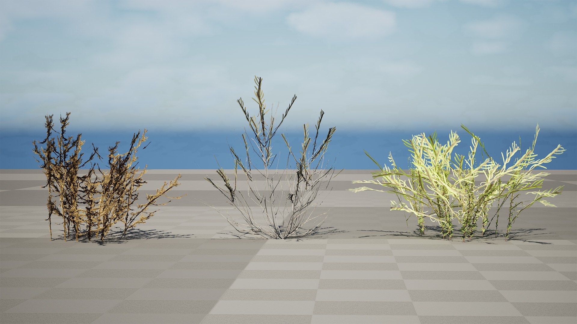 Cornulaca Arabica Desert Shrub 3D Model Pack model https://p.turbosquid.com/ts-thumb/dK/G4VMtp/Io/highresscreenshot00000/jpg/1769376407/1920x1080/fit_q87/5bc5c845e450a368a3210da5bc58c8b97e39194c/highresscreenshot00000.jpg