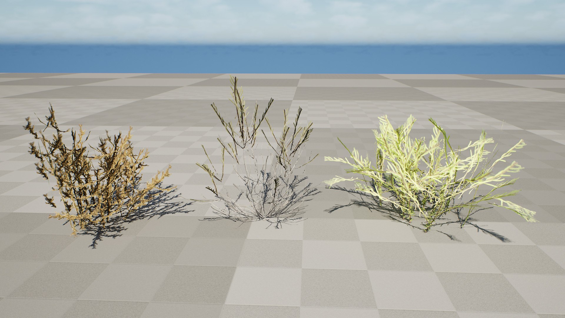 Cornulaca Arabica Desert Shrub 3D Model Pack model https://p.turbosquid.com/ts-thumb/dK/G4VMtp/KP/highresscreenshot00004/jpg/1769376409/1920x1080/fit_q87/6da78d16a9c8678abf655f6e79ab0e2b9229ead2/highresscreenshot00004.jpg
