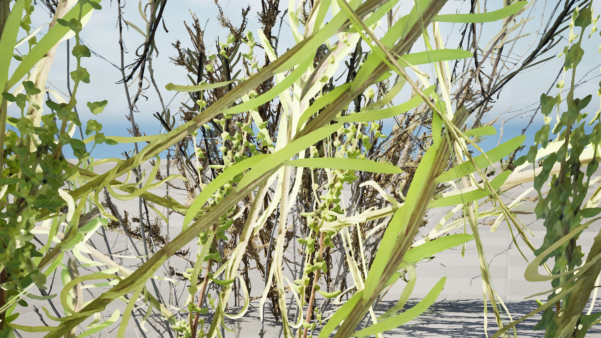 Cornulaca Arabica Desert Shrub 3D Model Pack model https://p.turbosquid.com/ts-thumb/dK/G4VMtp/gB/highresscreenshot00003/jpg/1769376408/1920x1080/fit_q87/b21120c9a2faabd1474d550351f1749d93d322c2/highresscreenshot00003.jpg