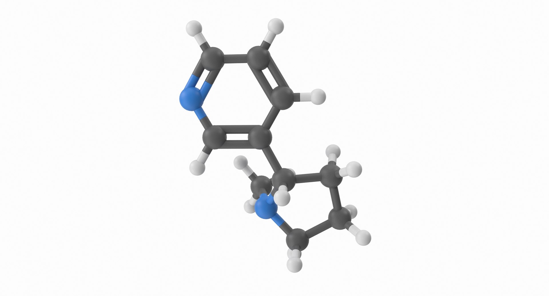 nicotine molecule 3D model https://p.turbosquid.com/ts-thumb/dK/UfoYMJ/6gBwEBmR/nice_color0000/jpg/1574402509/1920x1080/fit_q87/30b0bc860f2d5e1bb853296a9acd5d0a1e0f8d07/nice_color0000.jpg