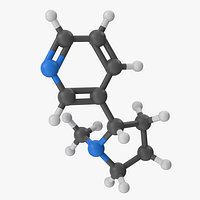 Nicotine Molecule