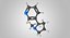 Nicotine Molecule