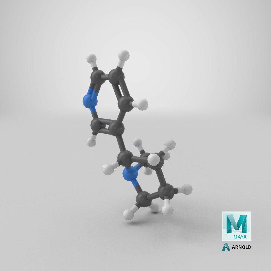 nicotine molecule 3D model https://p.turbosquid.com/ts-thumb/dK/UfoYMJ/ZPgNcyUx/stemcell_maya_arnold_render/png/1575494538/1920x1080/fit_q87/814c157ac7bea4a5e145608c0056b04f91755ab4/stemcell_maya_arnold_render.jpg