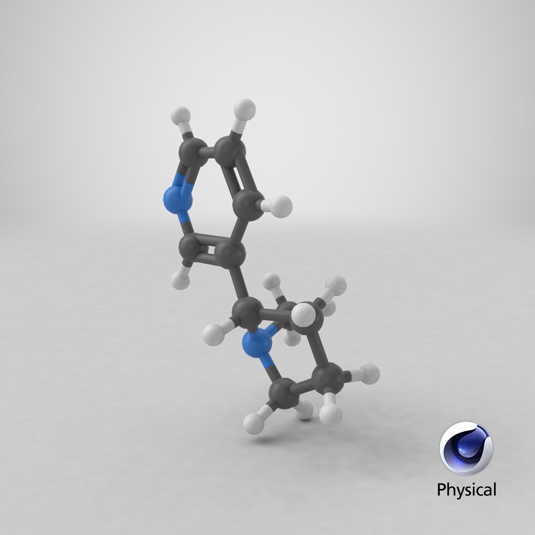nicotine molecule 3D model https://p.turbosquid.com/ts-thumb/dK/UfoYMJ/oxCivPDr/stemcell_cinema_4d_physical_render/png/1575494513/1920x1080/fit_q87/eb9b7350b05bb87bde4507cb7cb6a13e538be326/stemcell_cinema_4d_physical_render.jpg