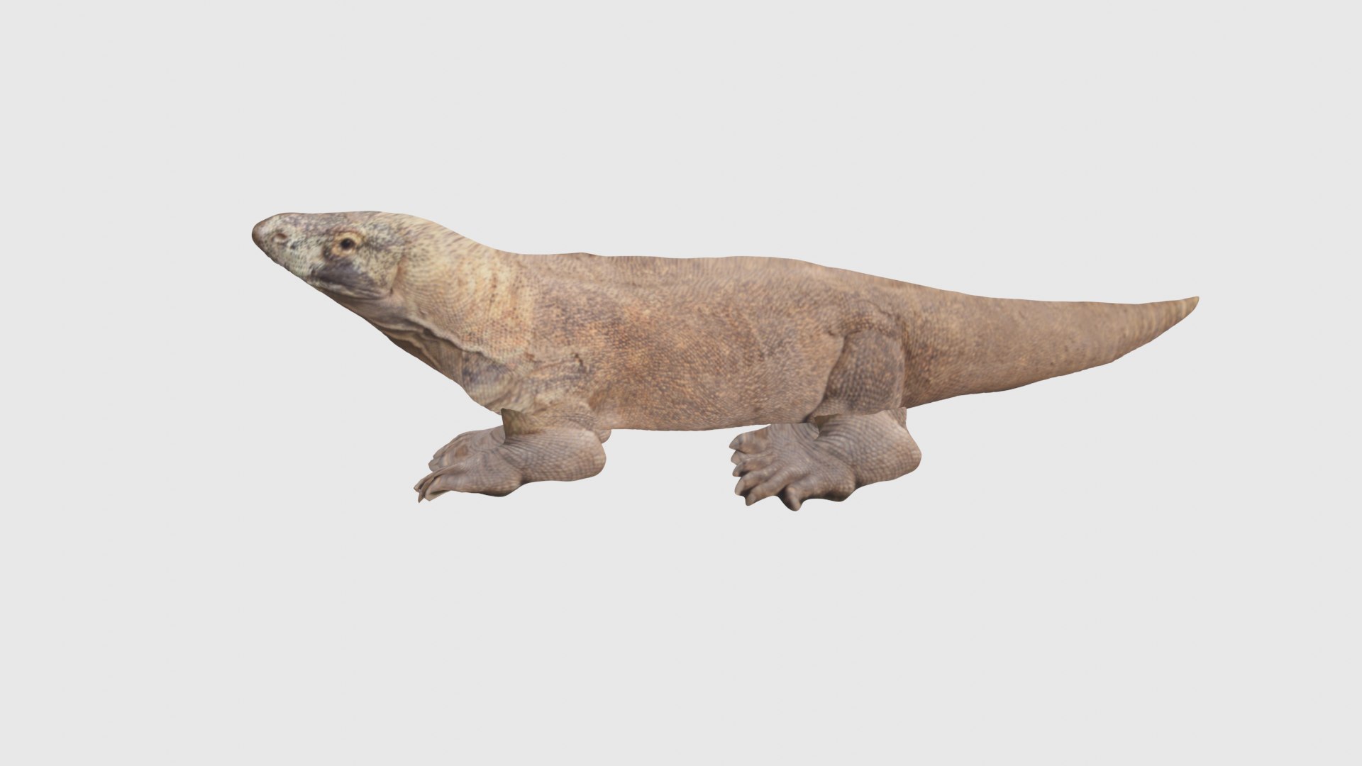 Low Poly Komodo Dragon Rigged With Realistic Texture 3D - TurboSquid ...