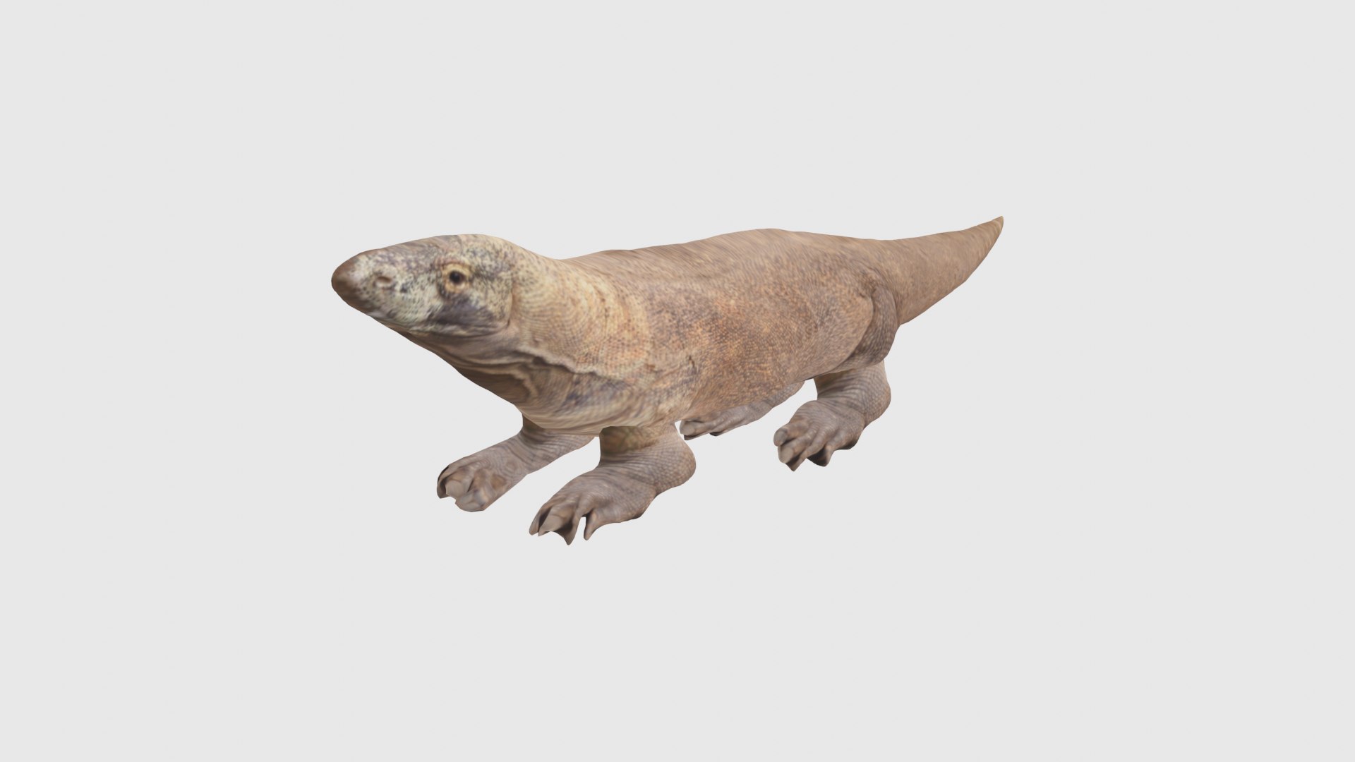 modelo 3d Dragón de Komodo Low Poly Rigged con textura realista ...