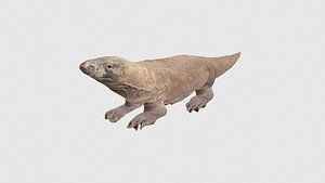 Low Poly Komodo Dragon Rigged With Realistic Texture 3D