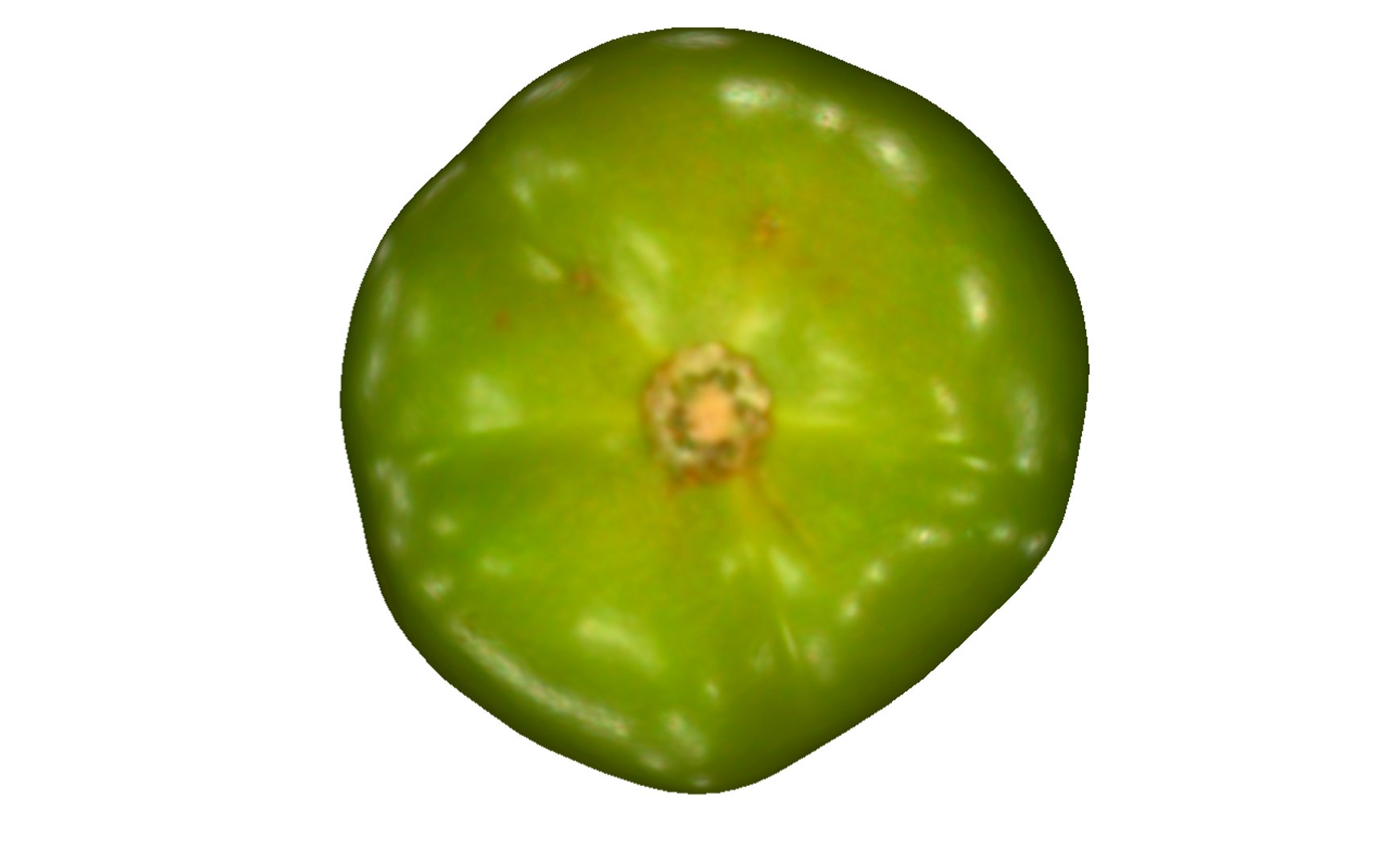 green tomato 3D model https://p.turbosquid.com/ts-thumb/dK/apFWW9/Wi53Z47q/7/png/1604655939/1920x1080/fit_q87/e558aa700e7bac710e874156cc60c181689678c5/7.jpg