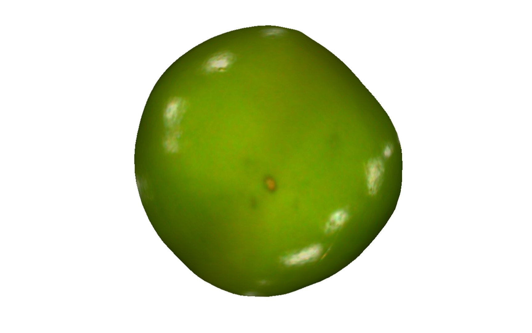 green tomato 3D model https://p.turbosquid.com/ts-thumb/dK/apFWW9/xPbBkhUl/8/png/1604655939/1920x1080/fit_q87/e3652054b605316bc2721bc76d6238a3dfa0f293/8.jpg
