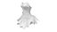 Bridal Corset With Tutu Skirt