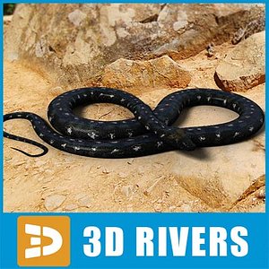 3d black python snakes