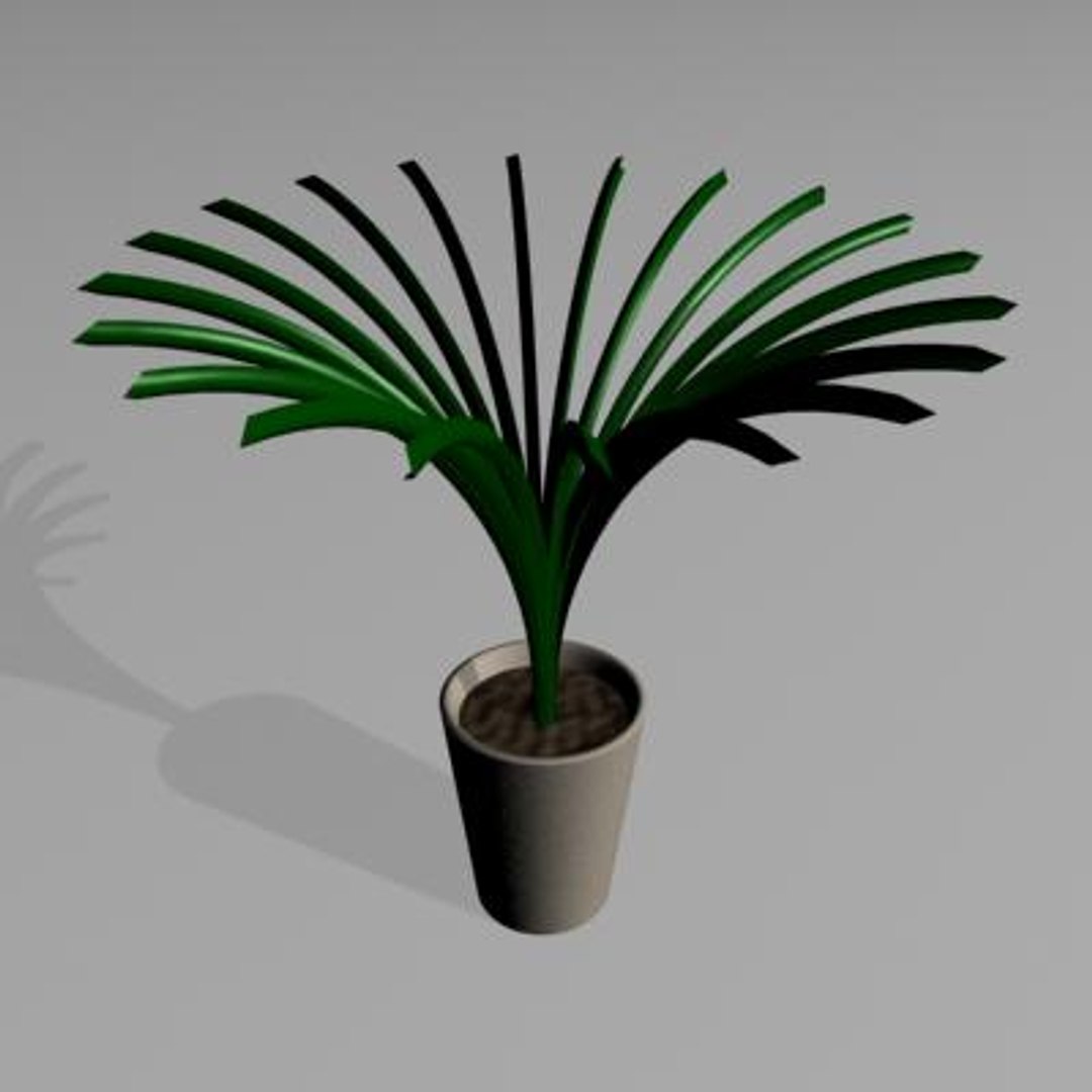 Free X Model Plant Small