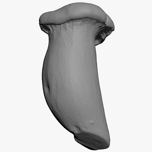 King Trumpet 3D Print 3D model