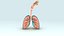 3d respiratory