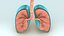 3d respiratory