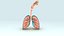 3d respiratory