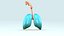 3d respiratory