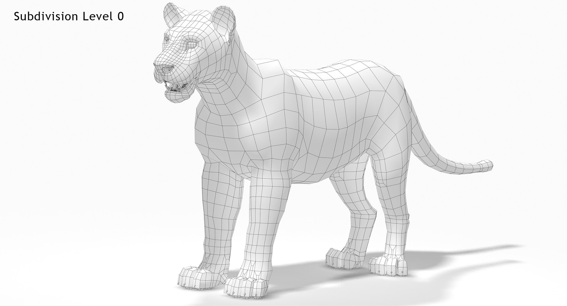 lioness 1 rigged lion 3d model
